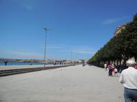DSCN2848