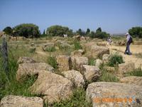 Zeus Tempel &ndash; &copy; Sandra Mahr (Eberhardt TRAVEL)