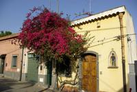 Santa_Tecla (1) &ndash; &copy; Andreas Höhn (Eberhardt TRAVEL)