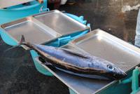Fischmarkt Catania