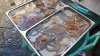 Catania - Fischmarkt &ndash; &copy; Petra Sauer (Eberhardt TRAVEL)