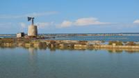 Salinen bei Trapani &ndash; &copy; Petra Sauer (Eberhardt TRAVEL)