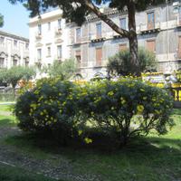 IMG_0072 &ndash; &copy; Gisela Gerlach (Eberhardt TRAVEL)