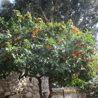 IMG_0113 &ndash; &copy; Gisela Gerlach (Eberhardt TRAVEL)