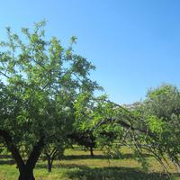 IMG_0226 &ndash; &copy; Gisela Gerlach (Eberhardt TRAVEL)