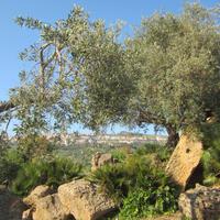 IMG_0244 &ndash; &copy; Gisela Gerlach (Eberhardt TRAVEL)