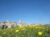 Selinunte &ndash; &copy; Gisela Gerlach (Eberhardt TRAVEL)