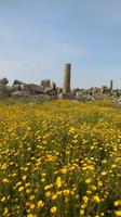 Selinunte &ndash; &copy; Heike Meinhold (Eberhardt TRAVEL)
