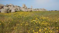 Selinunte &ndash; &copy; Heike Meinhold (Eberhardt TRAVEL)