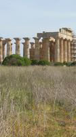 Selinunte &ndash; &copy; Heike Meinhold (Eberhardt TRAVEL)