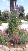 botanische Garten &ndash; &copy; Heike Meinhold (Eberhardt TRAVEL)