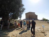 Vorm Concordia-Tempel &ndash; &copy; Stefanie Schneider (Eberhardt TRAVEL)