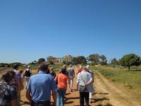 Ärcheologische Zone Selinunte &ndash; &copy; Stefanie Schneider (Eberhardt TRAVEL)
