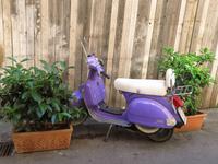 Milka Motorroller &ndash; &copy; Christina Schwarz (Eberhardt TRAVEL)