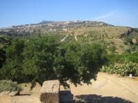 175. Agrigento - Sizilien 10-17.5.15 &ndash; &copy; Annett Seese (Eberhardt TRAVEL)