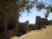 183. Agrigento - Sizilien 10-17.5.15 &ndash; &copy; Annett Seese (Eberhardt TRAVEL)