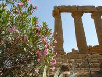 Heraklestempel &ndash; &copy; Steffi Zimmermann (Eberhardt TRAVEL)