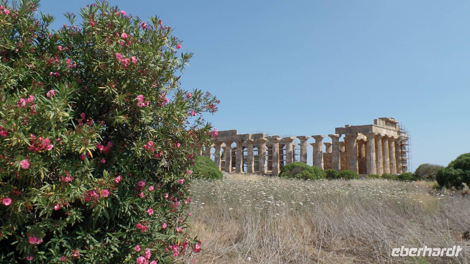 Selinunt Tempel E &ndash; &copy; Petra Sauer (Eberhardt TRAVEL)