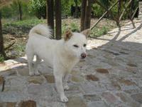 IMG_4763 &ndash; &copy; Kerstin Veit (Eberhardt TRAVEL)