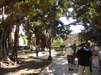 037-Siracusa_Ortigia &ndash; &copy; Dirk Schlosser (Eberhardt TRAVEL)