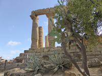 070-Agrigento-Akagras &ndash; &copy; Dirk Schlosser (Eberhardt TRAVEL)