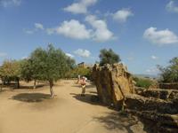072-Agrigento-Akagras &ndash; &copy; Dirk Schlosser (Eberhardt TRAVEL)