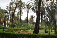 Palermo &ndash; &copy; Martin Büchner (Eberhardt TRAVEL)