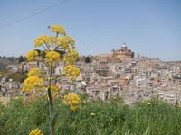Piazza Armerina &ndash; &copy; Petra Sauer (Eberhardt TRAVEL)