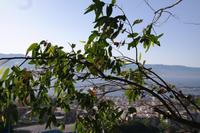 Messina &ndash; &copy; Franziska Schütt (Eberhardt TRAVEL)