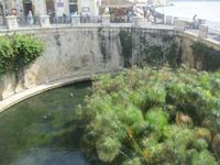 IMG_6879 Fonte Aretusa &ndash; &copy; Kerstin Veit (Eberhardt TRAVEL)