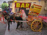 IMG_6976 &ndash; &copy; Kerstin Veit (Eberhardt TRAVEL)