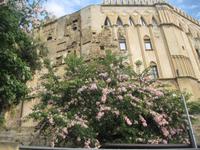 IMG_7002 Normannenpalast &ndash; &copy; Kerstin Veit (Eberhardt TRAVEL)