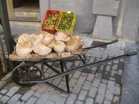 IMG_7031  Pilzfest &ndash; &copy; Kerstin Veit (Eberhardt TRAVEL)
