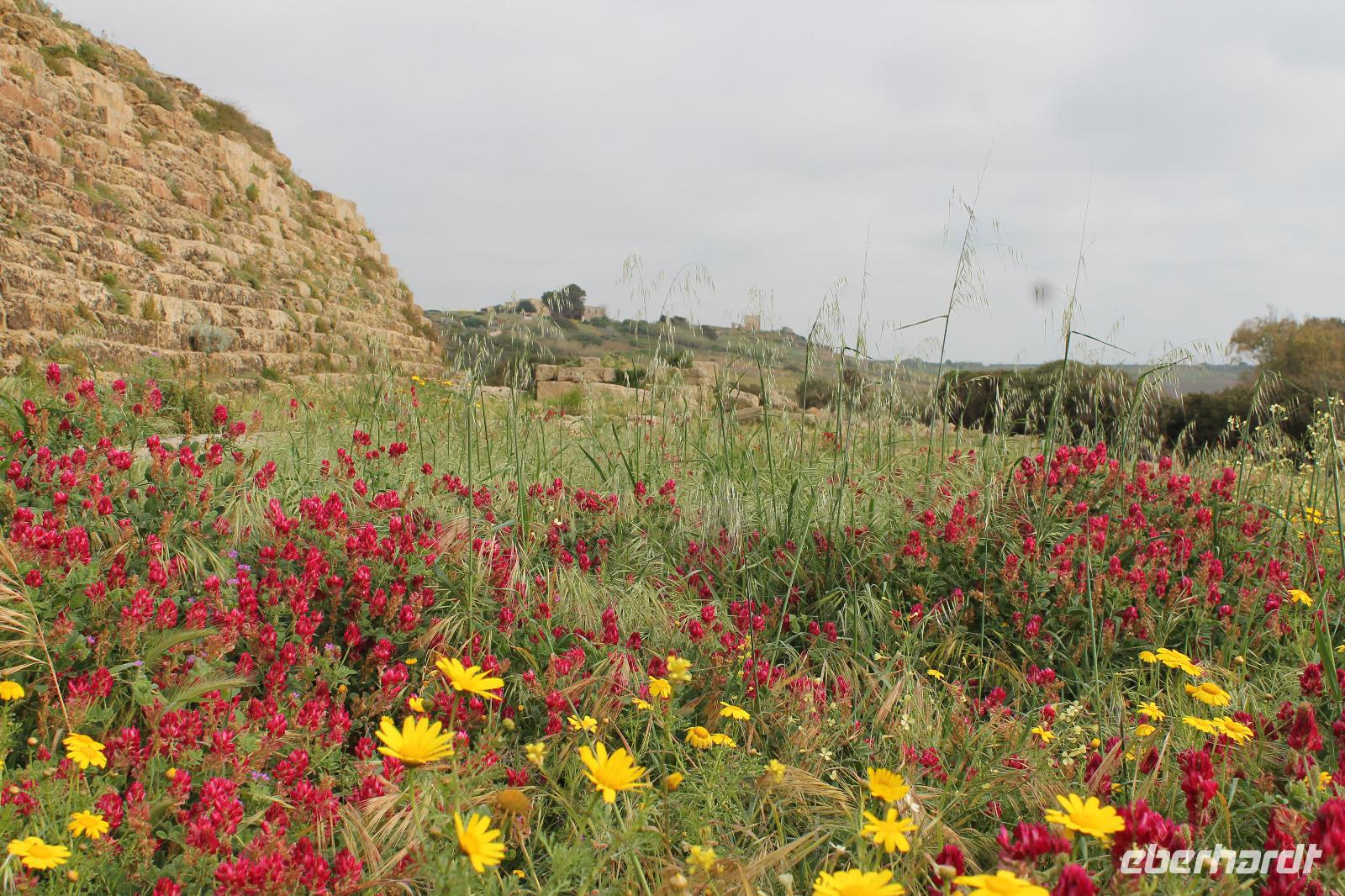 Selinunte &ndash; &copy; Kathrin Kubik (Eberhardt TRAVEL)
