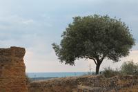 Im Tal der Tempel &ndash; &copy; Kathrin Kubik (Eberhardt TRAVEL)