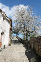 Montalbano &ndash; &copy; Kathrin Kubik (Eberhardt TRAVEL)