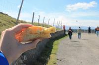 Gaetanos Olivenöl! &ndash; &copy; Kathrin Kubik (Eberhardt TRAVEL)