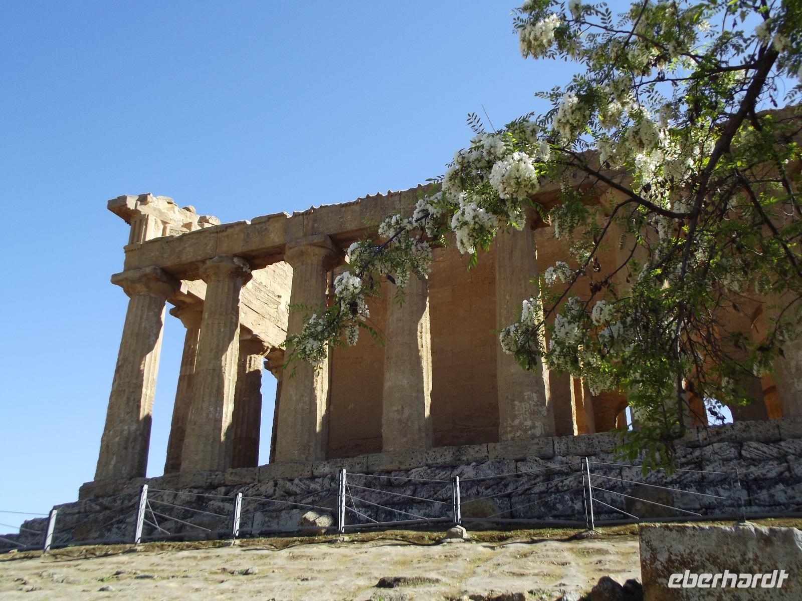 Concordia Tempel &ndash; &copy; Christina Schlawis (Eberhardt TRAVEL)