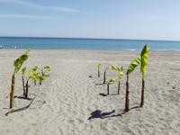 Giardini Naxos - Hotelstrand &ndash; &copy; Christina Schlawis (Eberhardt TRAVEL)
