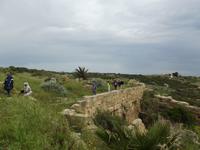 Selinunte &ndash; &copy; Christina Schlawis (Eberhardt TRAVEL)