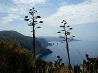 DSCI0199 &ndash; &copy; Adelheid Fritzsche (Eberhardt TRAVEL)