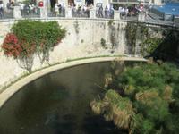 Fonte Aretusa