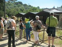 Villa Casale &ndash; &copy; Kerstin Veit (Eberhardt TRAVEL)