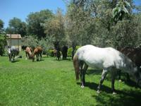 Agriturismo &ndash; &copy; Kerstin Veit (Eberhardt TRAVEL)