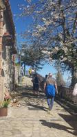 Montalbano Elicona &ndash; &copy; Maxi Goldbach (Eberhardt TRAVEL)