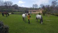 Agriturismo Randazzo &ndash; &copy; Maxi Goldbach (Eberhardt TRAVEL)