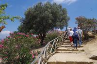 Tal der Tempel &ndash; &copy; Juliane Schwarze (Eberhardt TRAVEL)