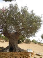 Tal der Tempel &ndash; &copy; Heike Meinhold (Eberhardt TRAVEL)