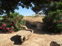 Selinunte  &ndash; &copy; Heike Meinhold (Eberhardt TRAVEL)