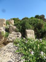 Selinunte  &ndash; &copy; Heike Meinhold (Eberhardt TRAVEL)